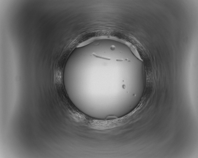 X0000116440045200912151249