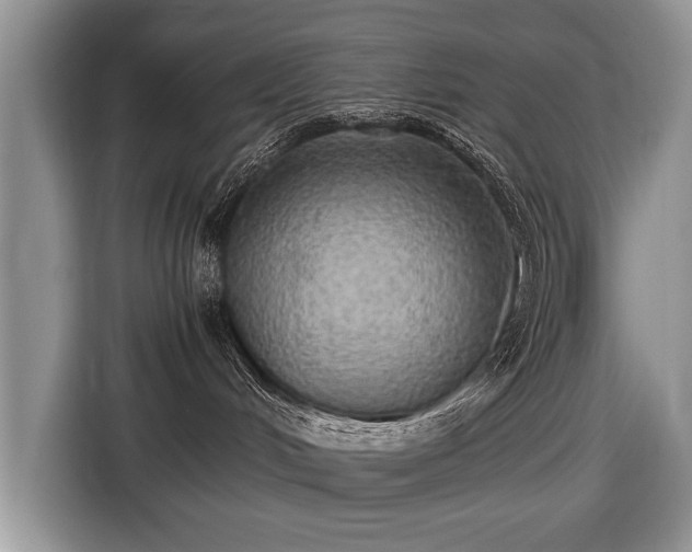 X0000116440048200912151249