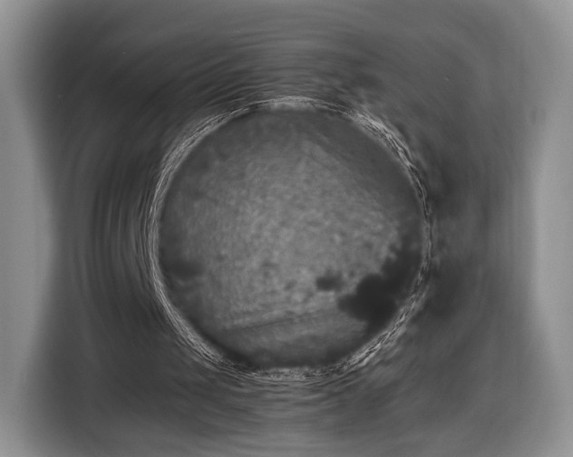 X0000116440049200912151248