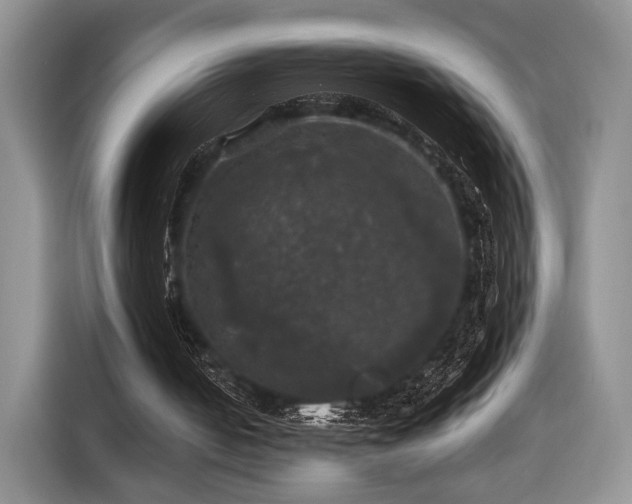 X0000116440050200912151248