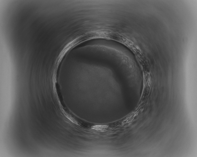 X0000116440051200912151248