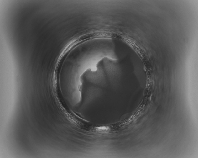 X0000116440053200912151248