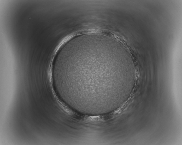 X0000116440054200912151248