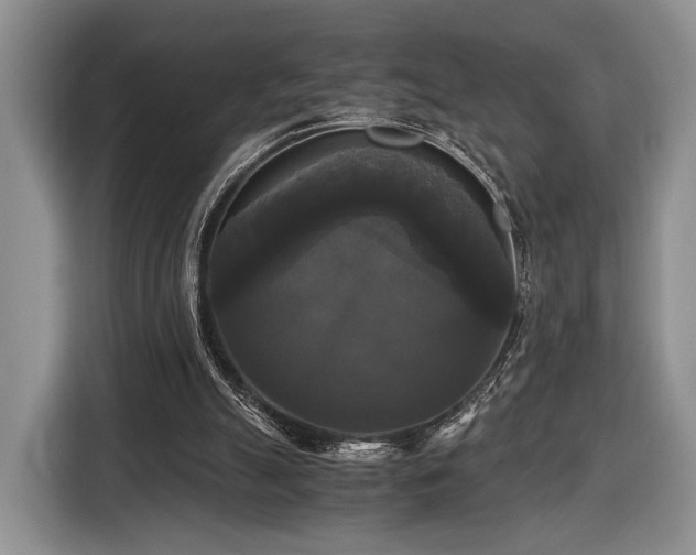 X0000116440055200912151248