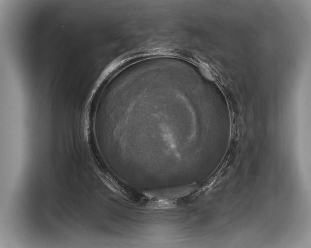 X0000116440056200912151248