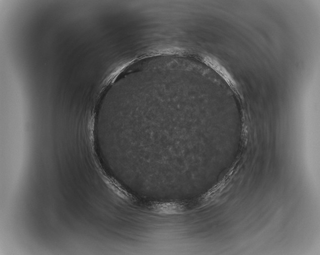 X0000116440058200912151248