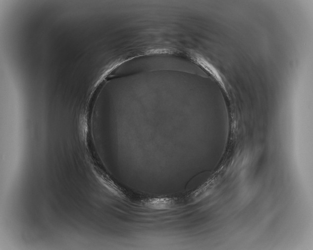 X0000116440059200912151248