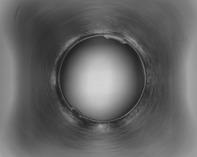 X0000116440060200912151248