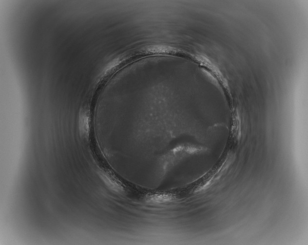 X0000116440063200912151248