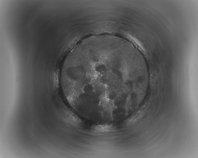 X0000116440065200912151248