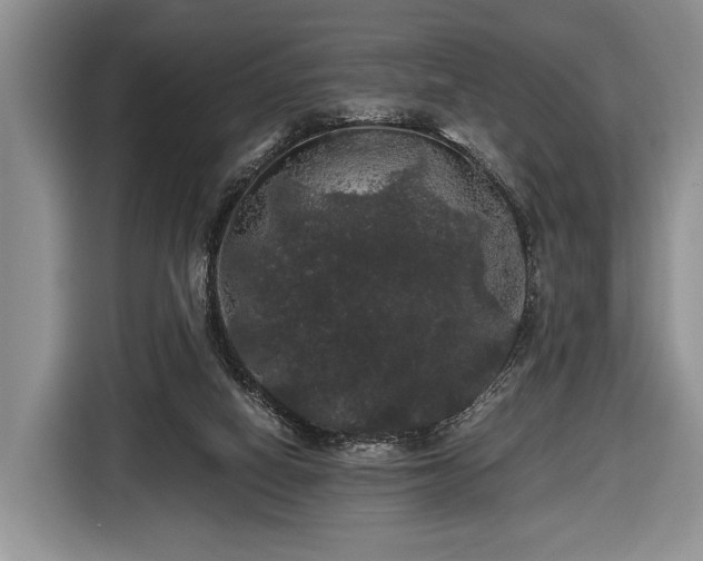X0000116440066200912151248