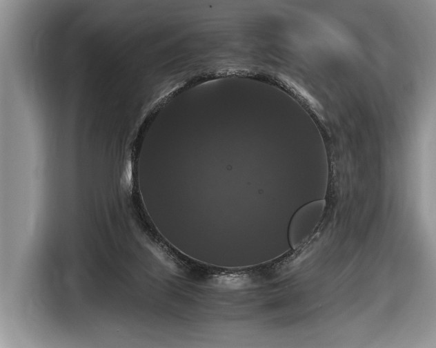 X0000116440067200912151248