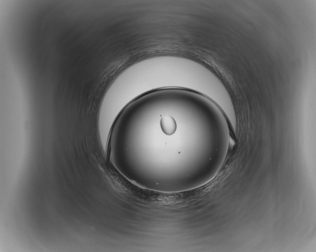 X0000116440070200912151248