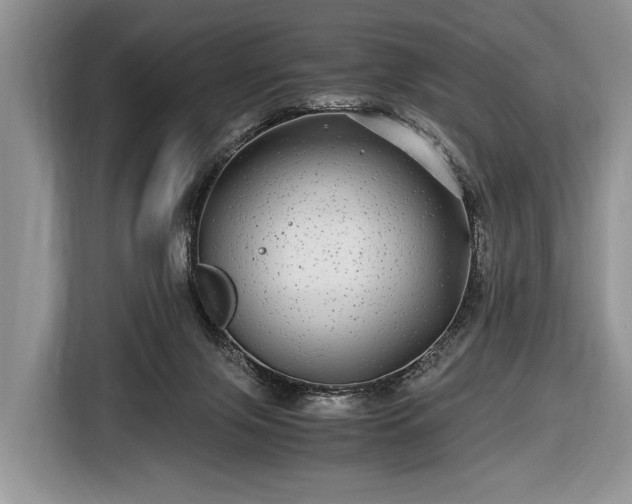 X0000116440071200912151248
