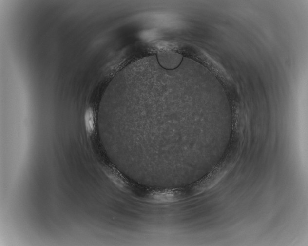 X0000116440075200912151248