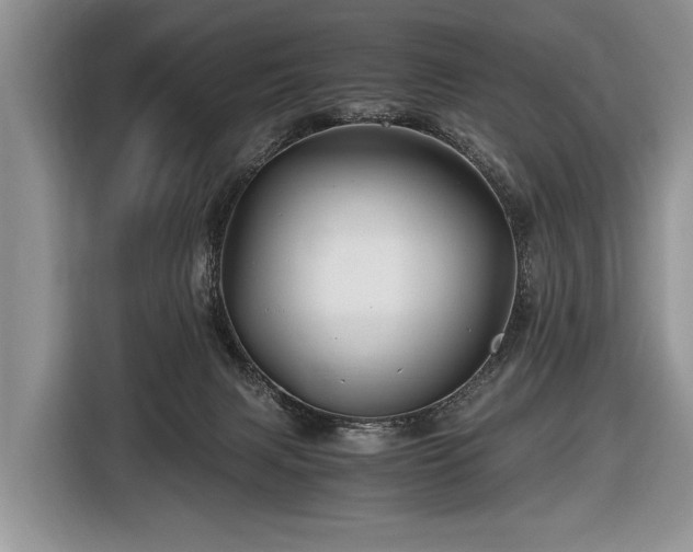 X0000116440079200912151248