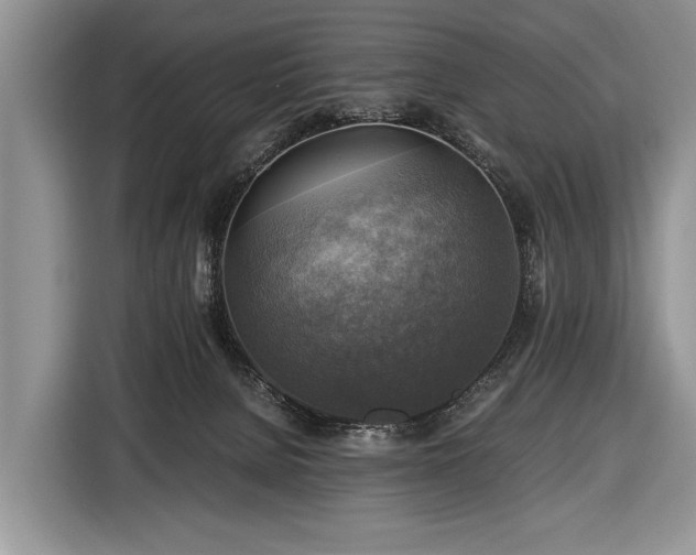 X0000116440080200912151248