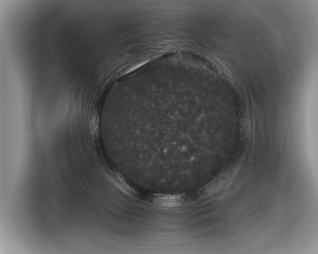 X0000116440081200912151248
