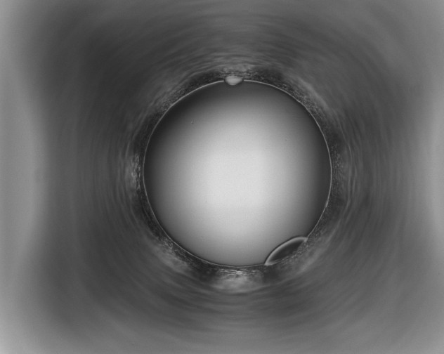 X0000116440083200912151248