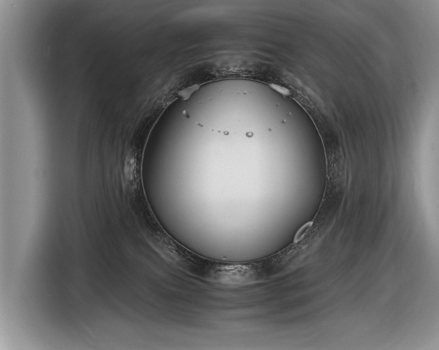 X0000116440087200912151248