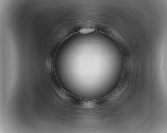X0000116440088200912151248