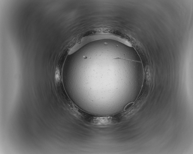 X0000116440089200912151249