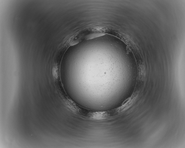 X0000116440090200912151249