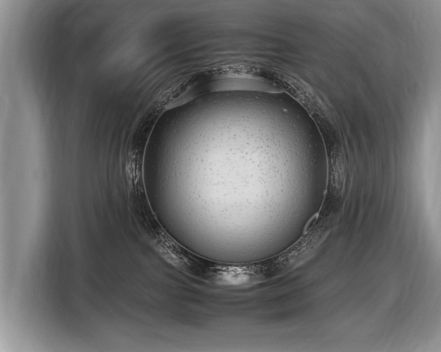 X0000116440091200912151249