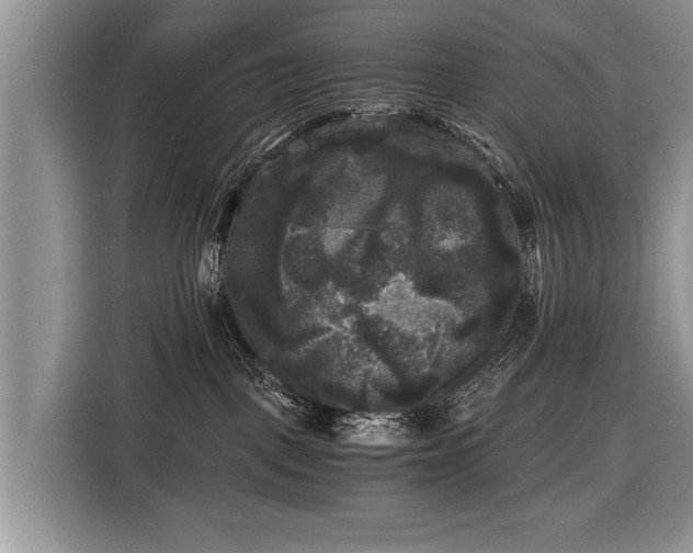 X0000116440093200912151249