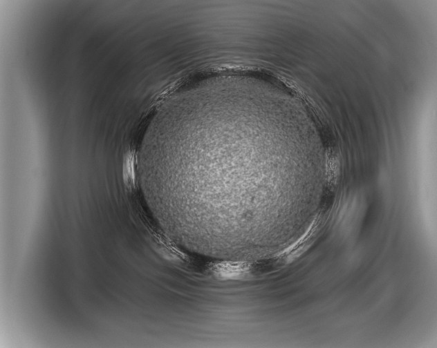 X0000116440094200912151249