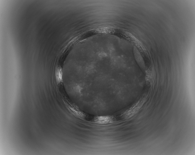 X0000116440095200912151249