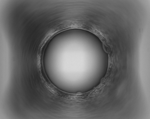X0000116440098200912151248
