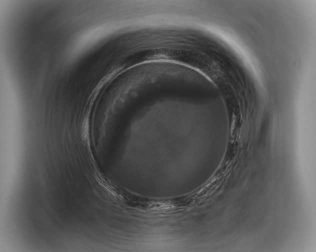 X0000116440099200912151248
