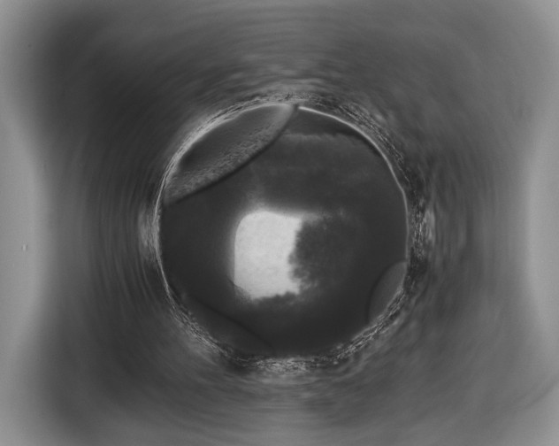 X0000116440100200912151248