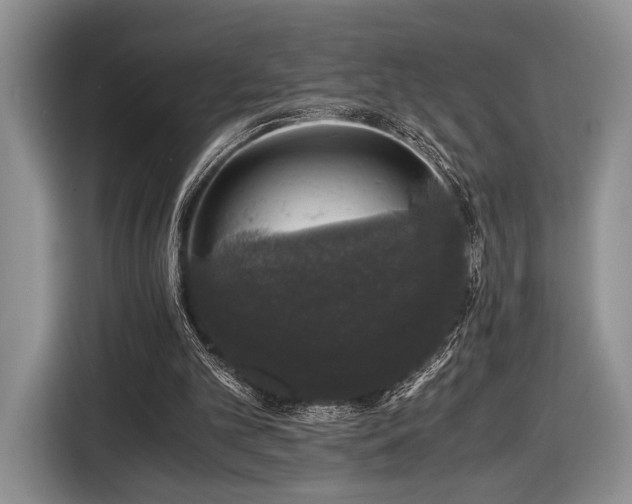 X0000116440101200912151248