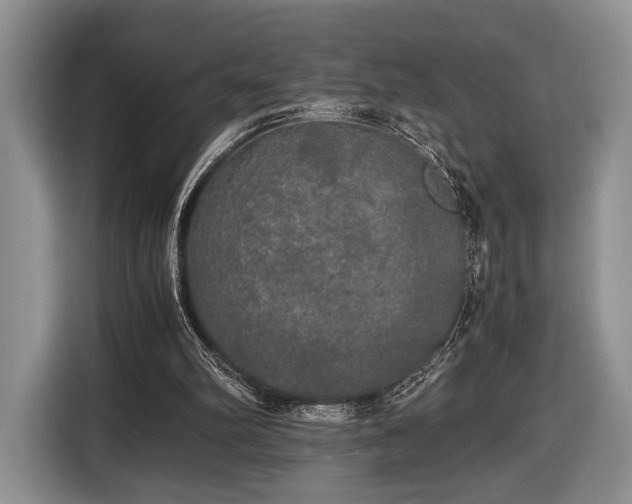 X0000116440102200912151248