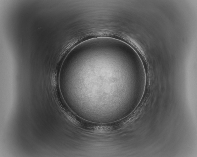 X0000116440105200912151248