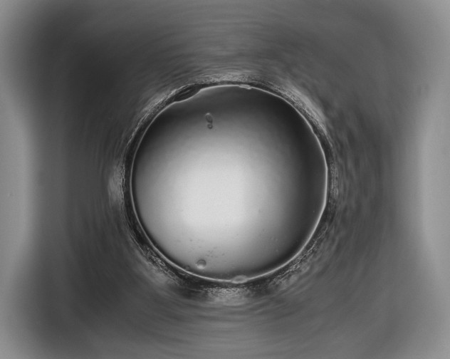 X0000116440107200912151248