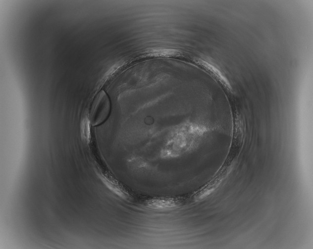 X0000116440110200912151248