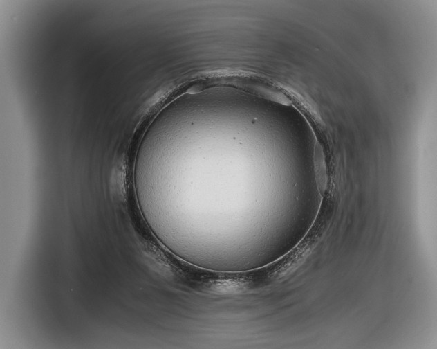X0000116440111200912151248