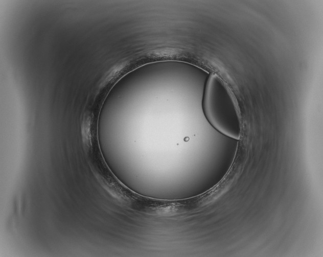 X0000116440116200912151248