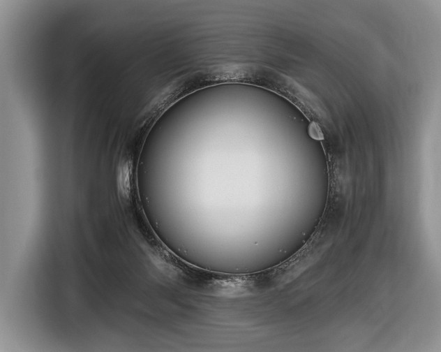 X0000116440118200912151248