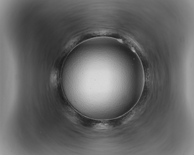 X0000116440119200912151248