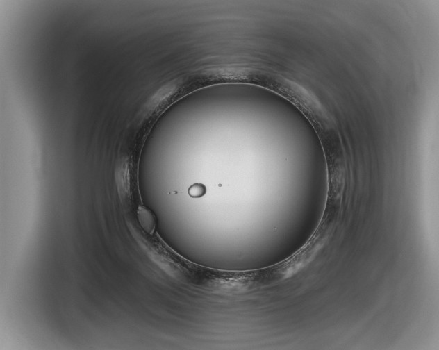 X0000116440120200912151248