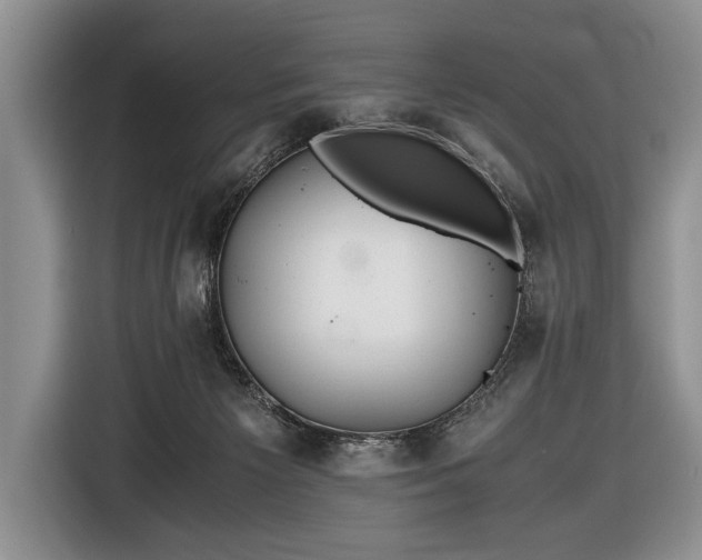 X0000116440125200912151248