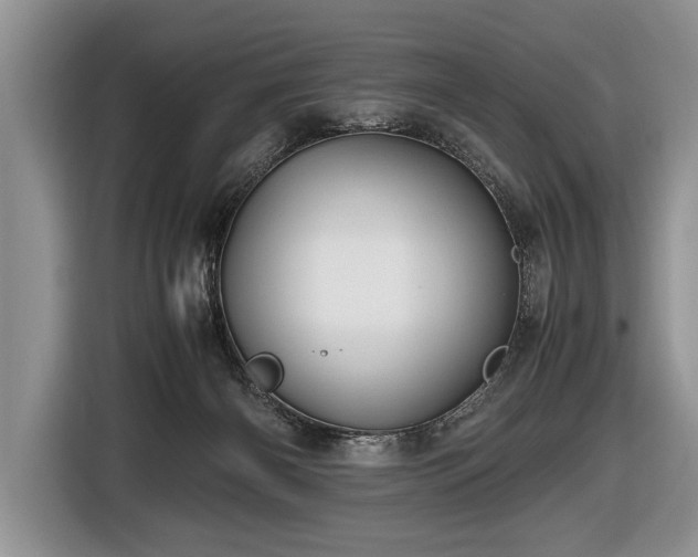 X0000116440126200912151248