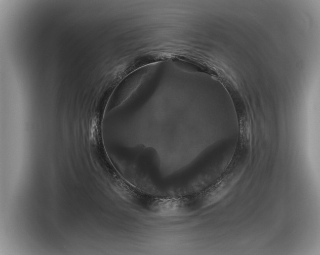 X0000116440127200912151248