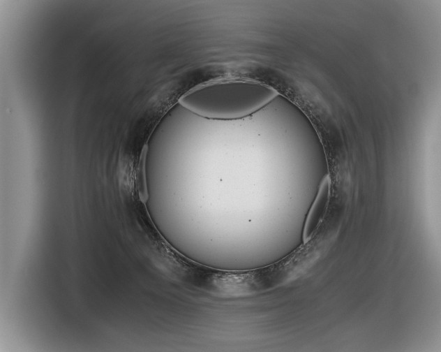 X0000116440129200912151248