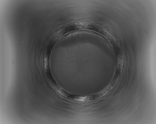 X0000116440130200912151248