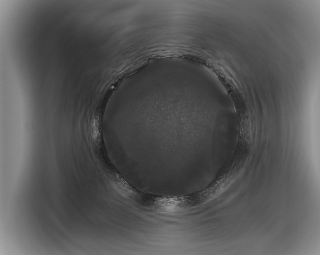 X0000116440131200912151248